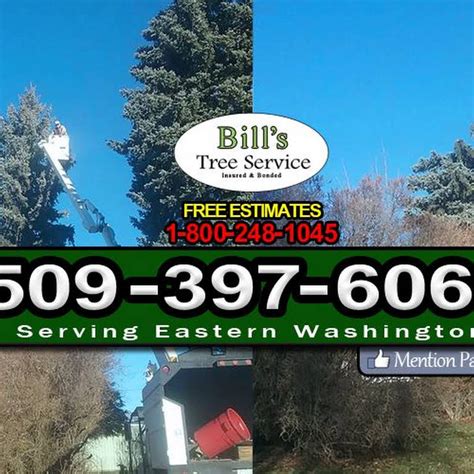 tree service colfax ca